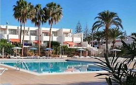 Palm Holiday